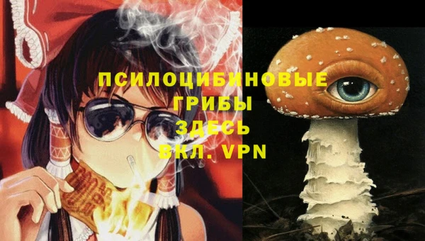 ГАЛЛЮЦИНОГЕННЫЕ ГРИБЫ Вязьма