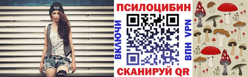 Купить закладки  Котельниково  Галлюциногенные грибы GOLDEN TEACHER 