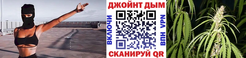 Купить где  Котельниково  Конопля планчик 